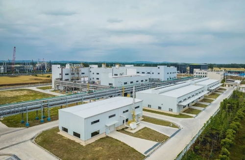 展會報道 江蘇澳潤新材料 中國高性能潤滑材料的新興力量