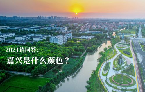 2021請回答 嘉興是什么顏色